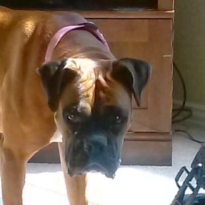 Meet your Posher, Latarri